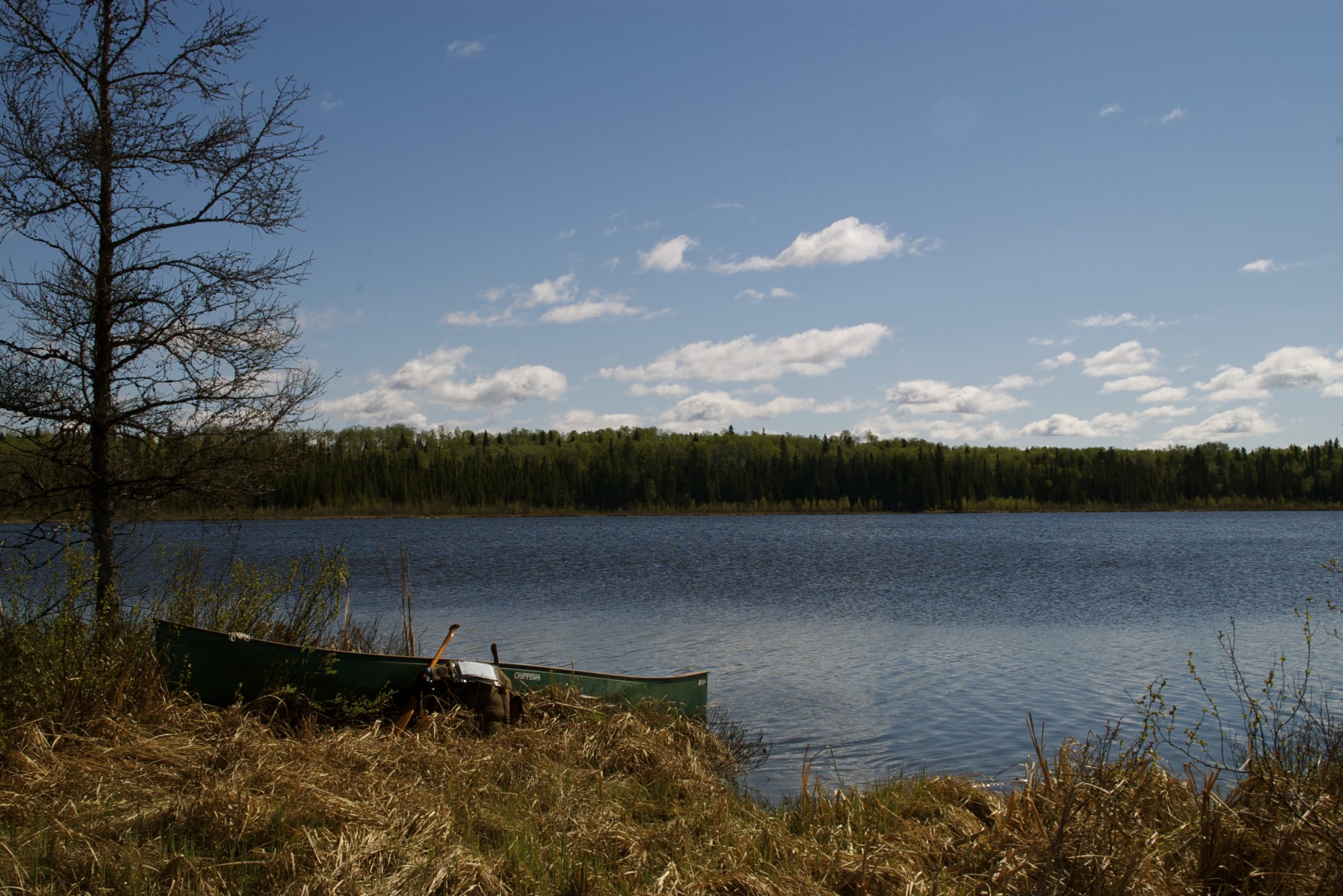 Minnedosa, Manitoba
