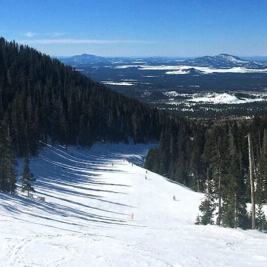 The Arizona Snowbowl is a full-service downhill ski resort in the San Francisco Peaks 14 miles north of Flagstaff, Arizona. This is a view along the blue run section of Volcano trail.

Photo by Brady Smith, January 20, 2016. Source: U.S. Forest Service, Coconino National Forest. See <a href="http://www.fs.usda.gov/recarea/coconino/recarea/?recid=55182">Arizona Snowbowl</a> for information on the <a href="http://coconinonationalforest.us/">Coconino National Forest</a> website.